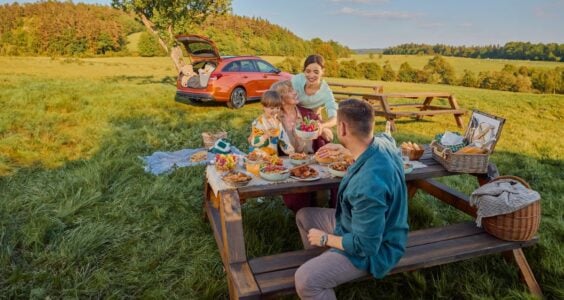 piknik s hyundai