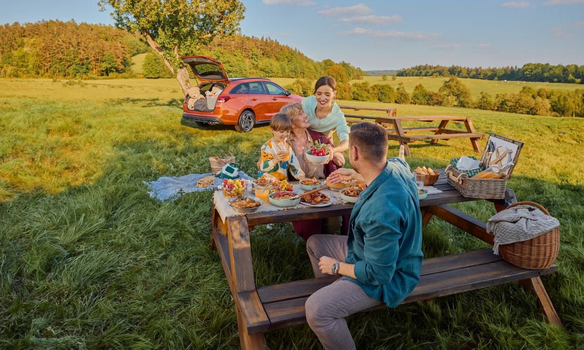 piknik s hyundai