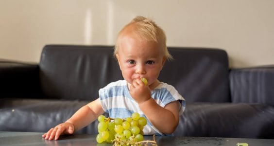 Hrozno a udusenie - poznáte riziko, ktoré môže spôsobiť vášmu dieťaťu?