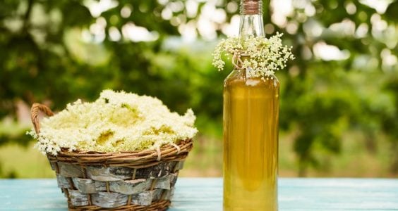 Bazový sirup