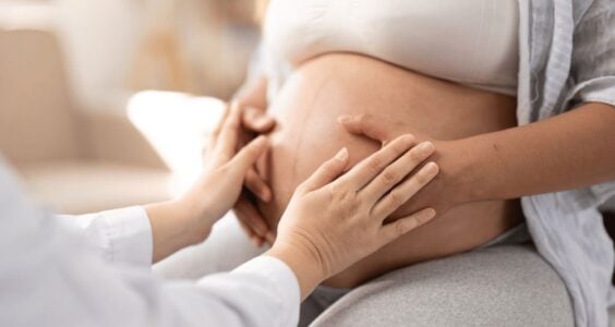 placenta po pôrode
