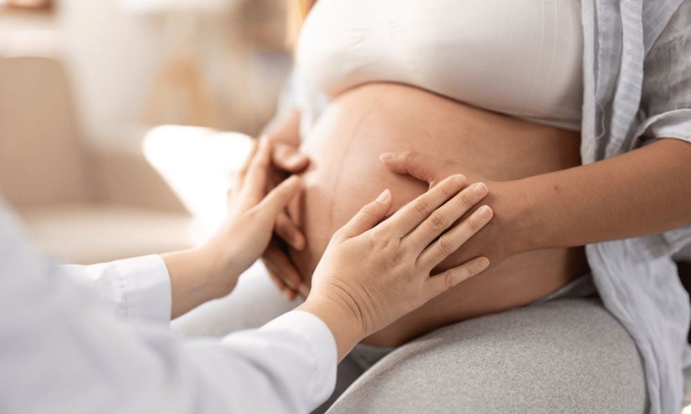 placenta po pôrode
