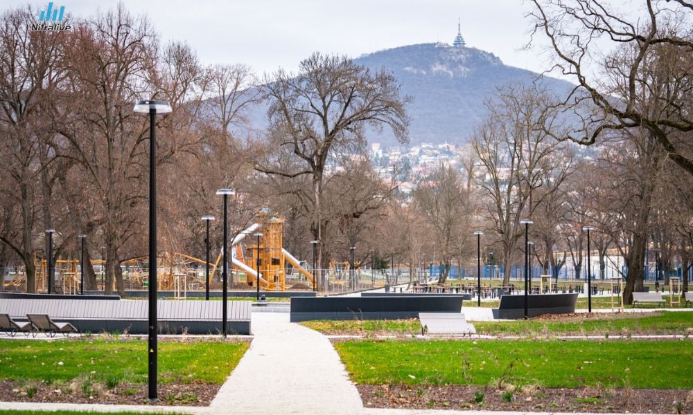nitra