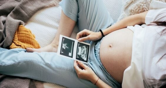 3 trimester