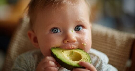 avokado