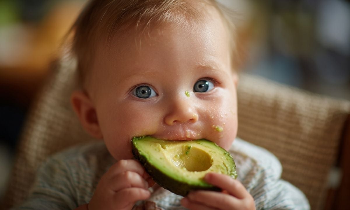 avokado