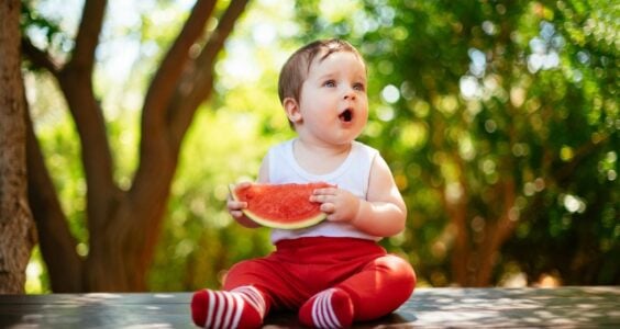 melon