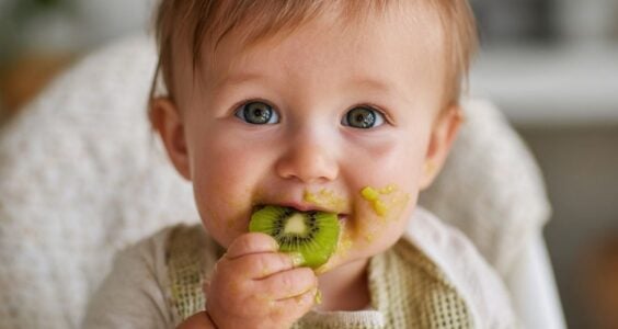 kiwi