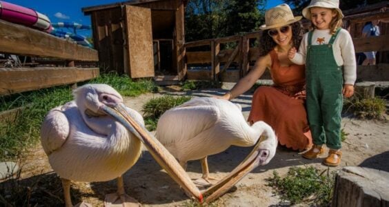 zoo