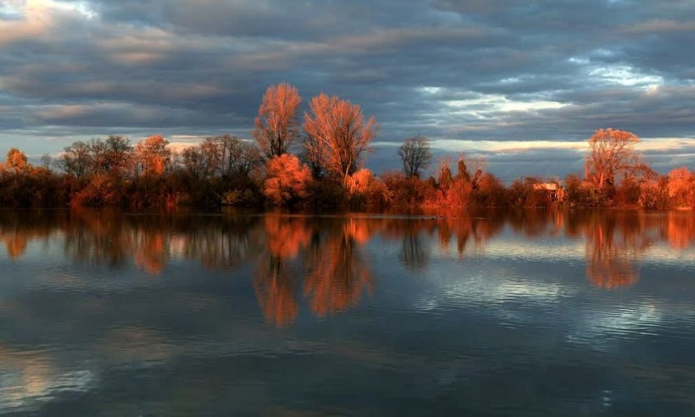 Trnavské rybníky