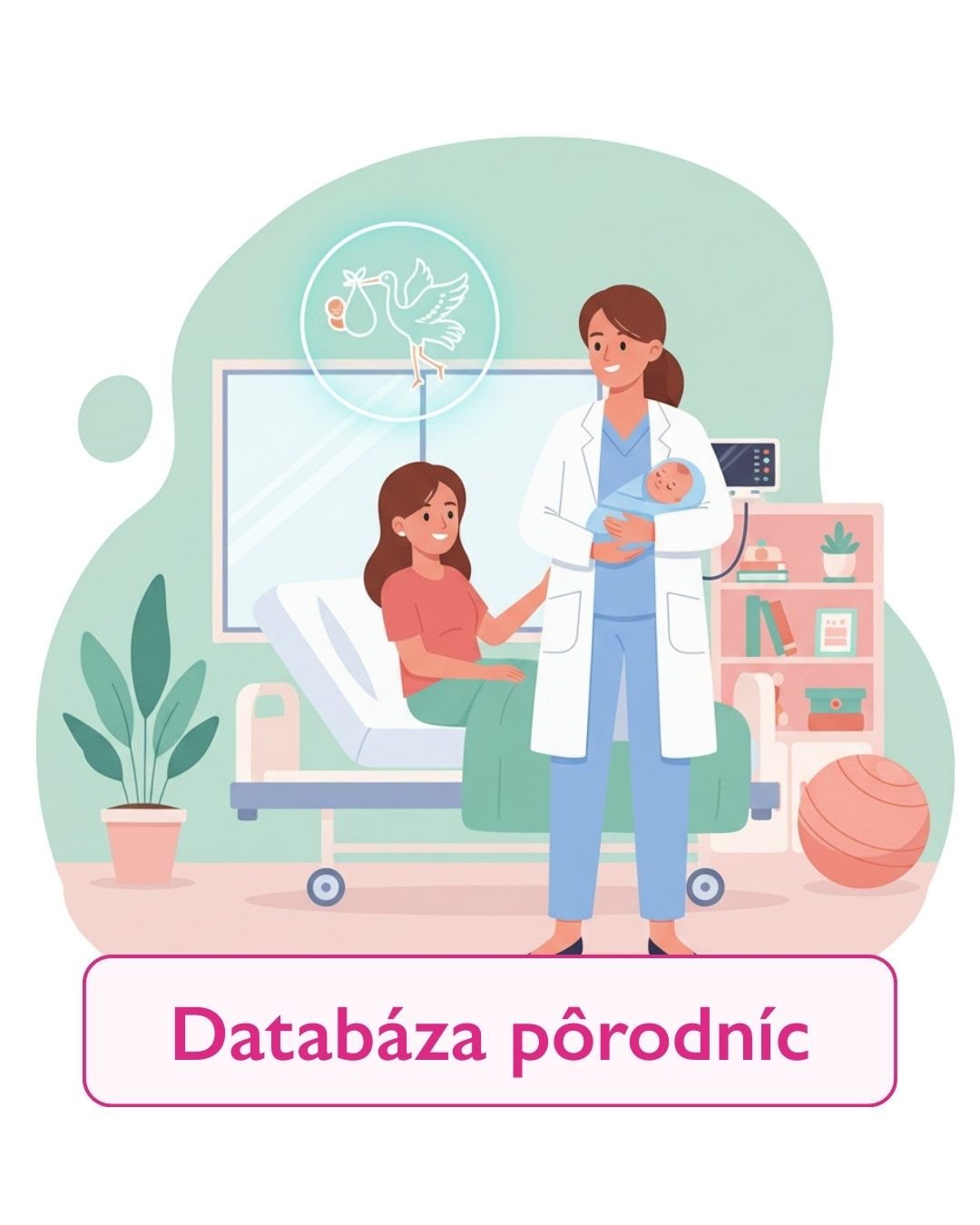 databaza porodnic